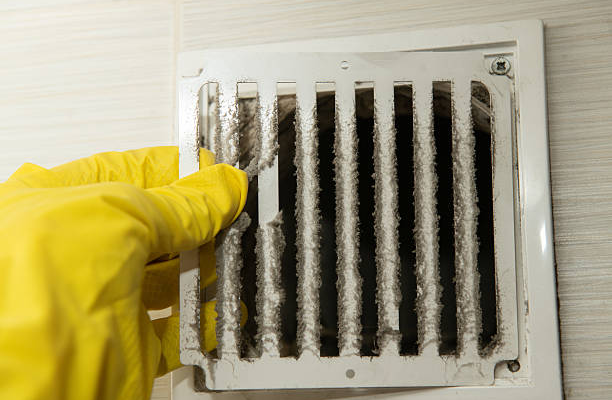 improve air quality office